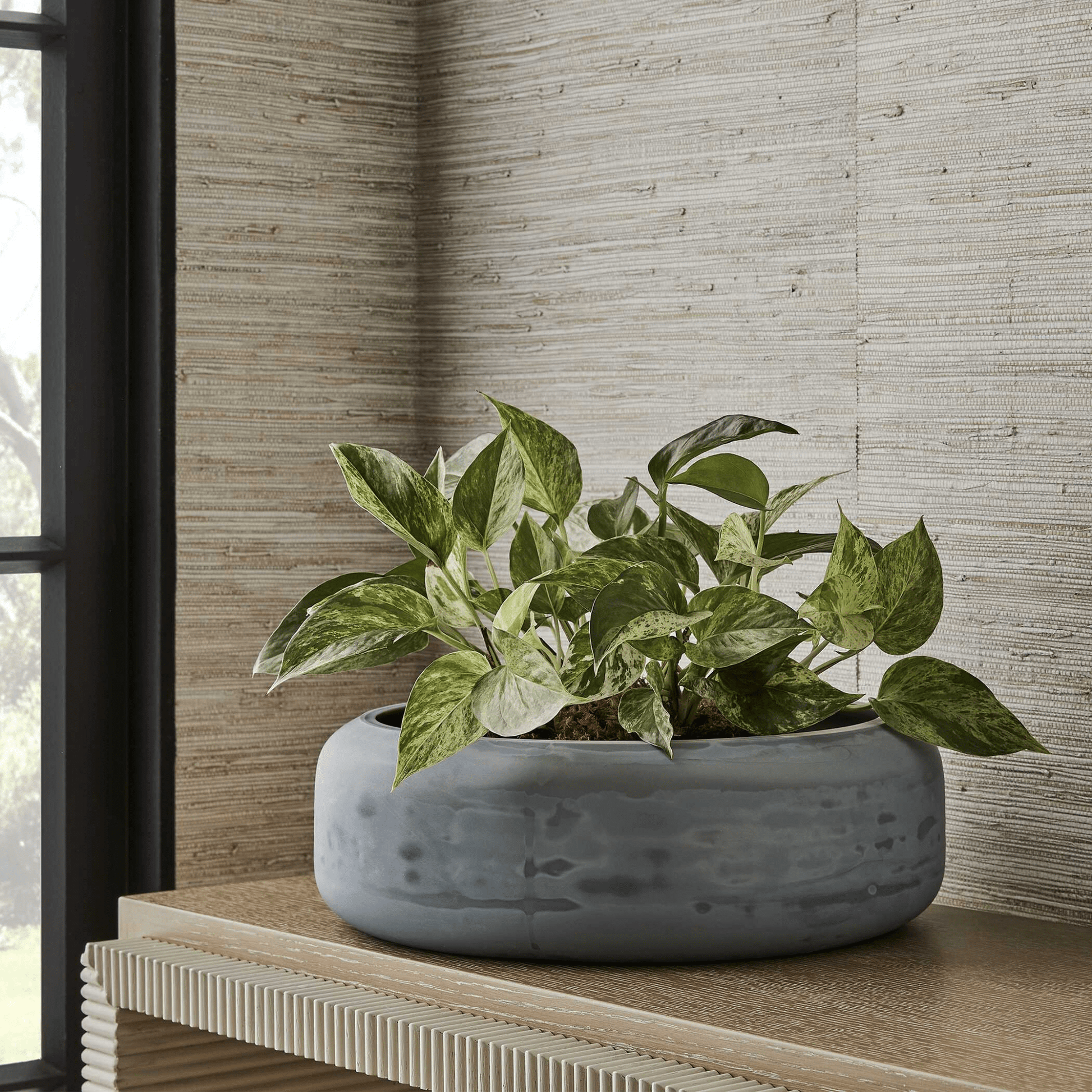 Cirrus Bowl Bowl| Uttermost