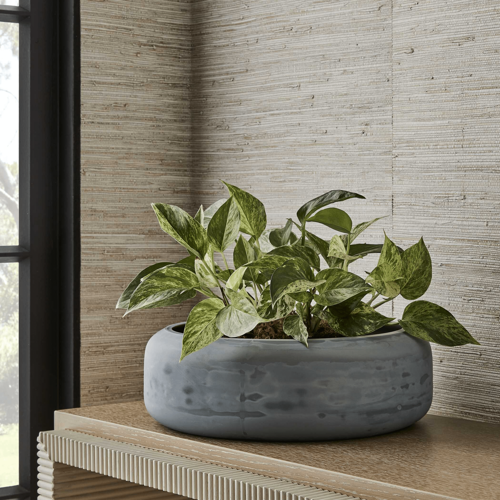Cirrus Bowl Bowl| Uttermost