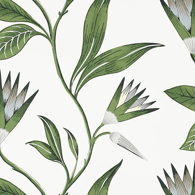 CLEO VINE,Non Woven Wallpaper Wallpaper| Thibaut Design