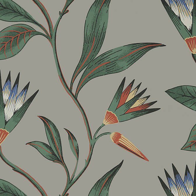 CLEO VINE,Non Woven Wallpaper Wallpaper| Thibaut Design