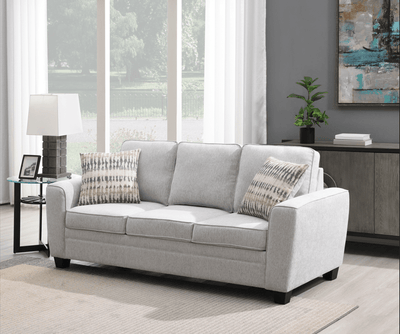 Confa Grey Sofa with Two Pillows - Al Rugaib Furniture