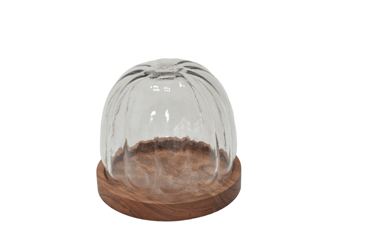 Crystal Haven Dome Tray| Roots Furniture