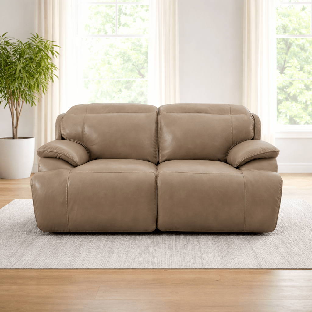 Cushy Brown Power Motion Loveseat Recliners| Roots Furniture