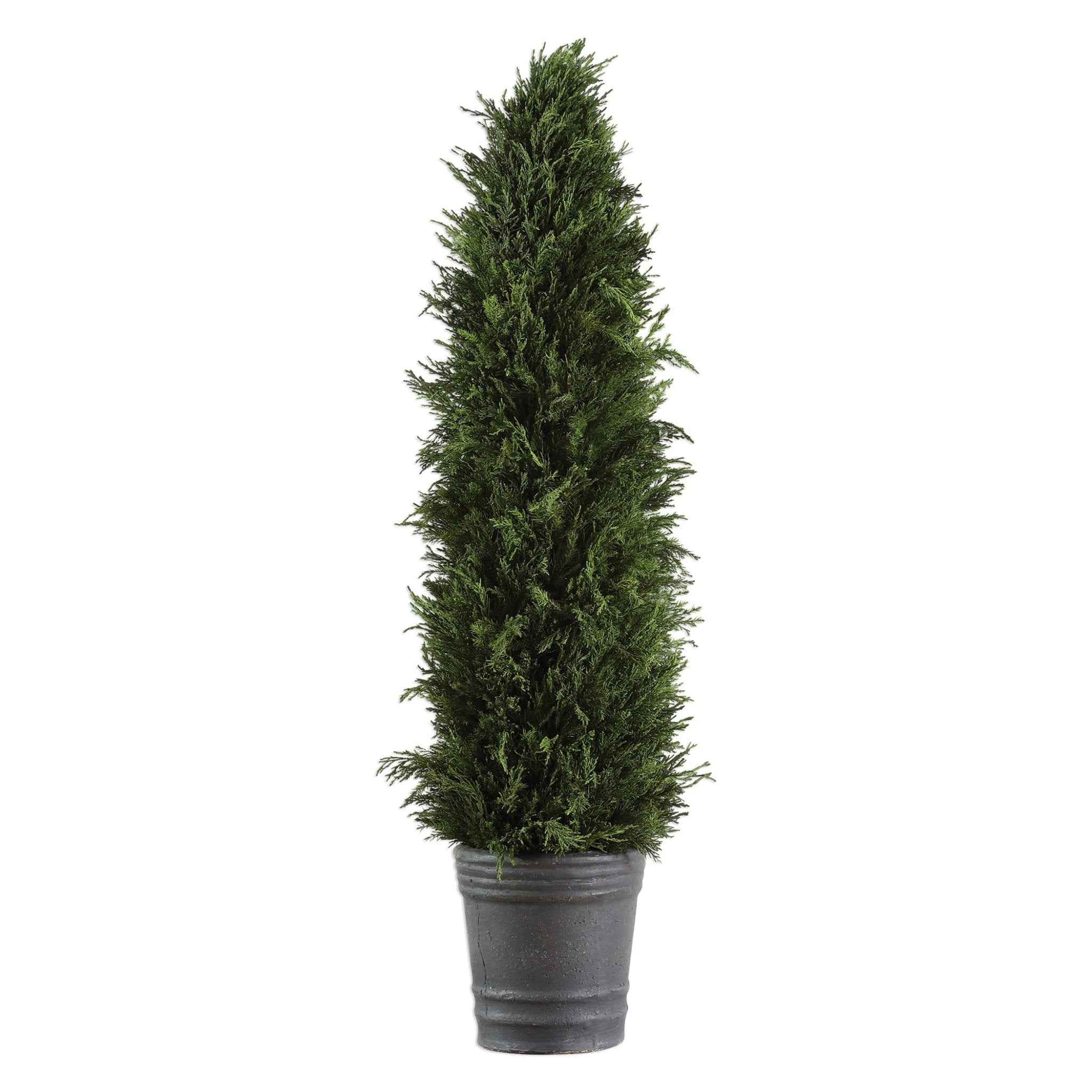 Cypress Cone Topiary Plants| Uttermost