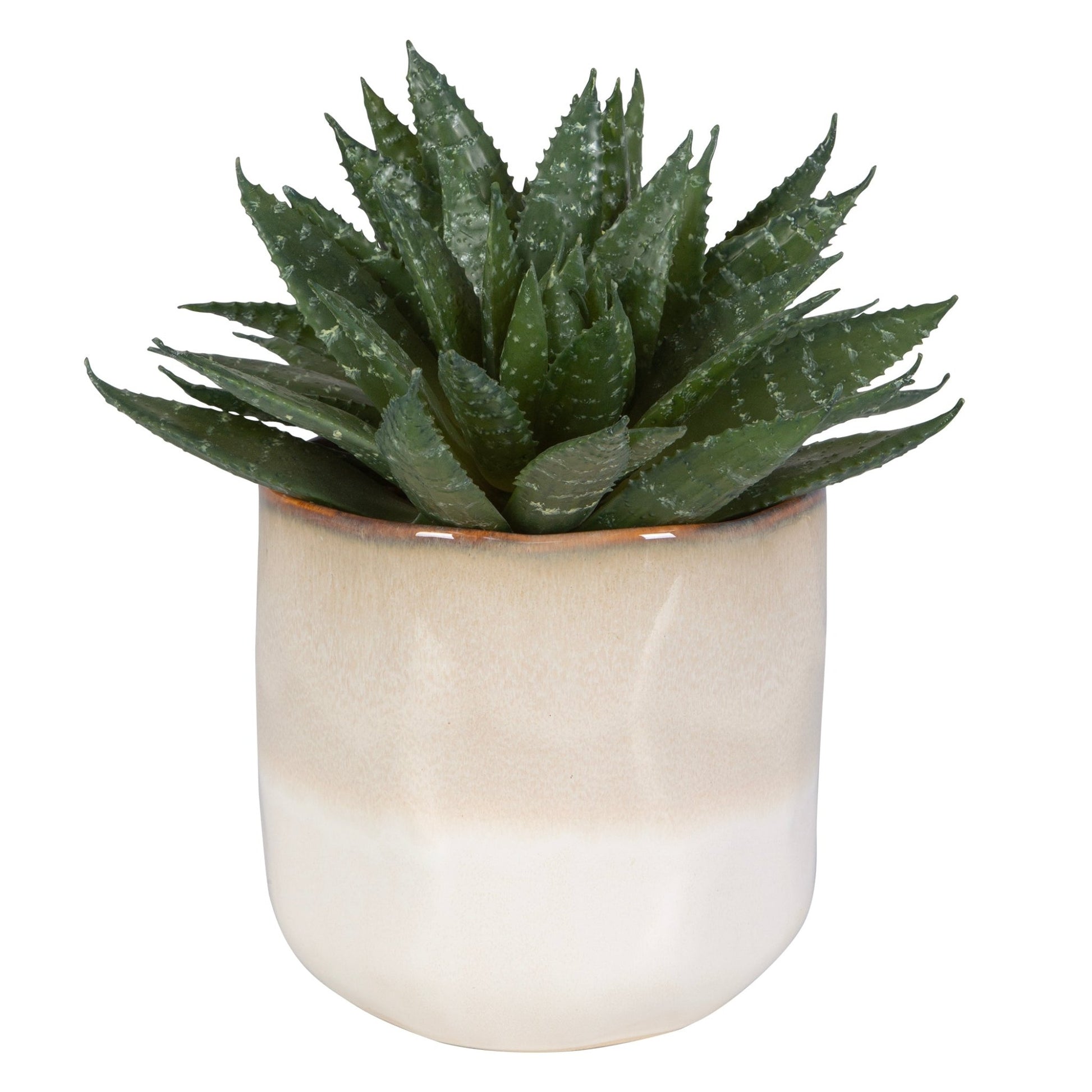 Doha Succulent Accent Plants| Uttermost
