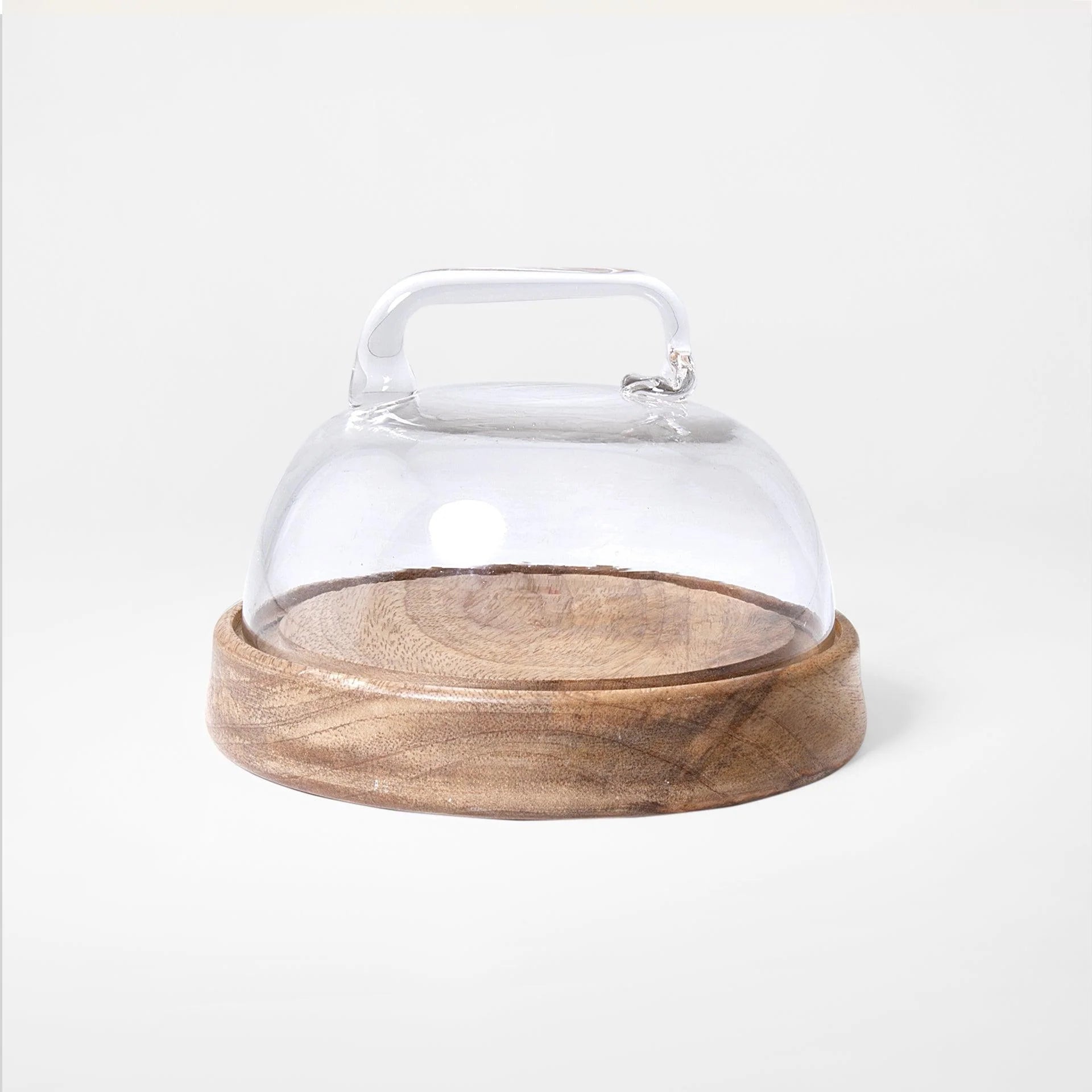 Dome Glass Cloche With Wooden Base- Small Tray| Roots Furniture