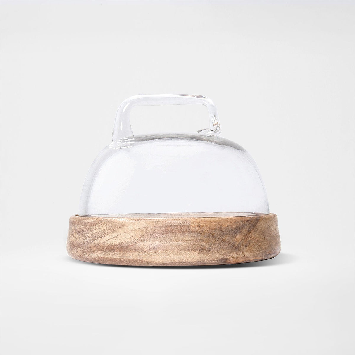 Dome Glass Cloche With Wooden Base- Small Tray| Roots Furniture