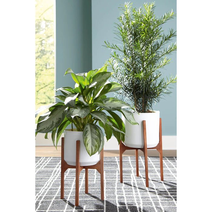 Dorcey Planter (Set of 2) Planter| Ashley Homestore