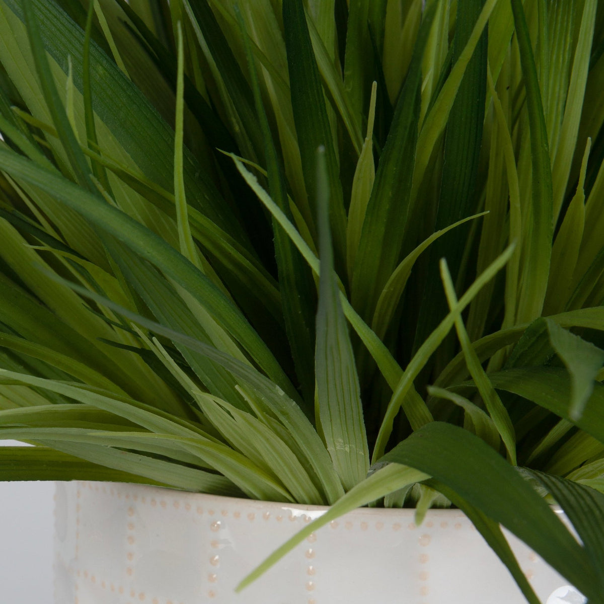 Edgewood Greenery, S/2 Plants| Uttermost