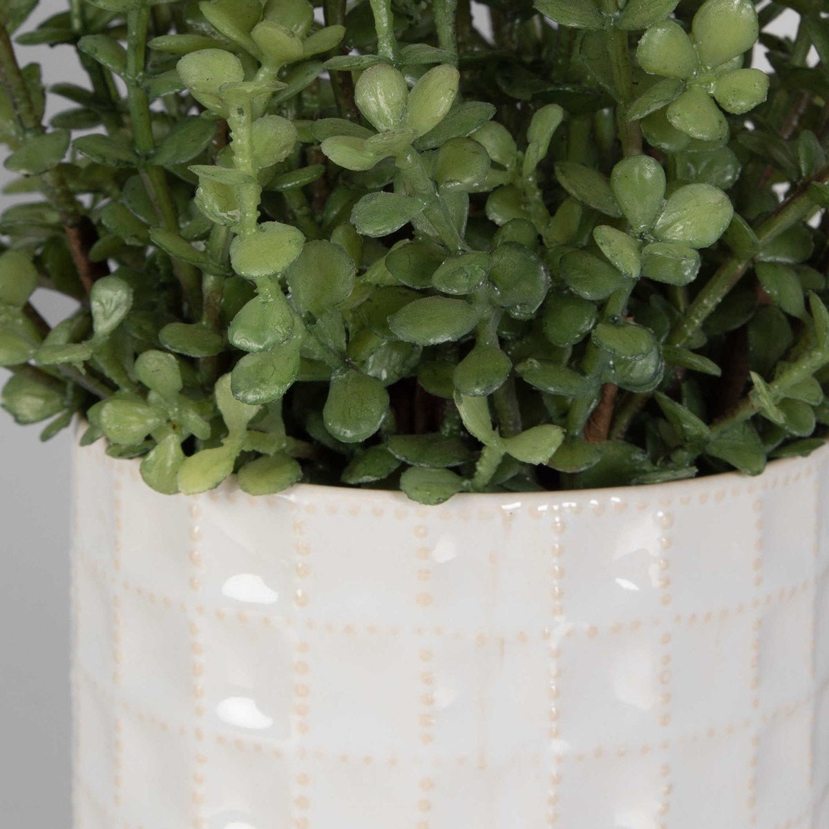 Edgewood Greenery, S/2 Plants| Uttermost