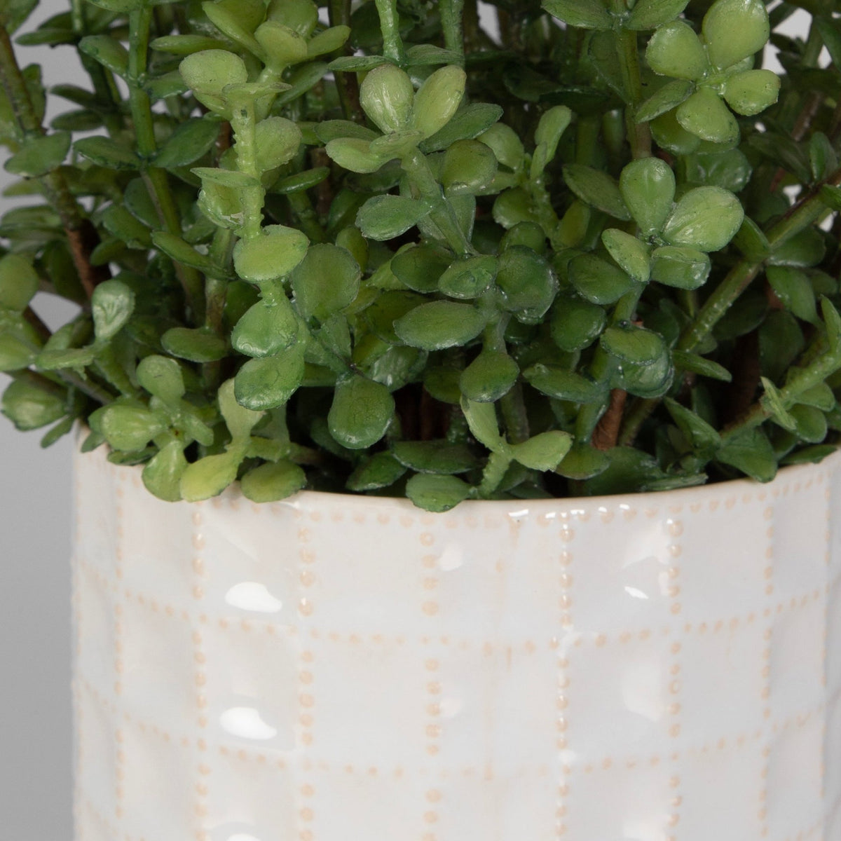 Edgewood Greenery, S/2 Plants| Uttermost