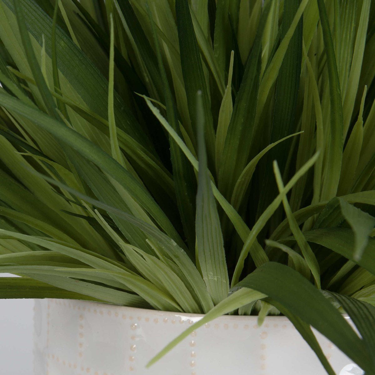 Edgewood Greenery, S/2 Plants| Uttermost