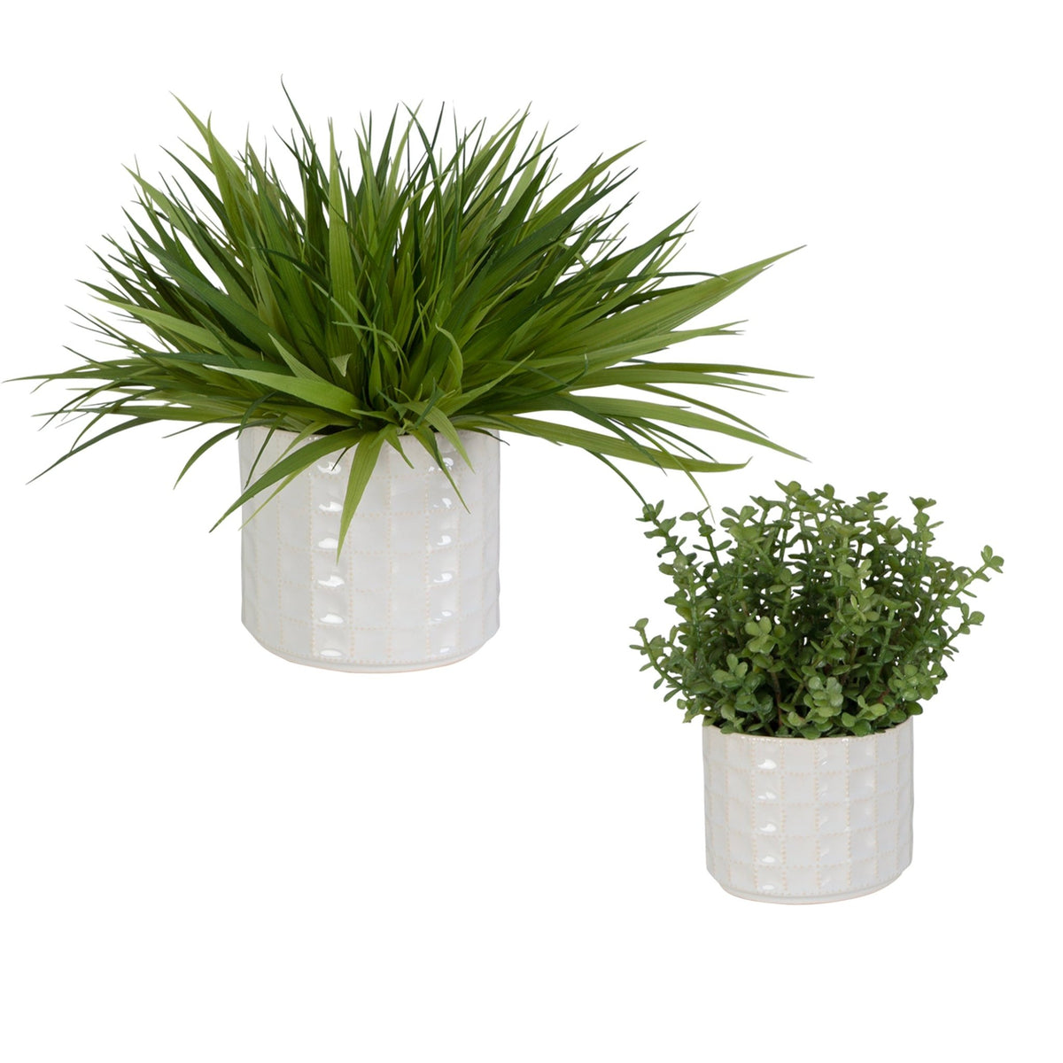 Edgewood Greenery, S/2 Plants| Uttermost