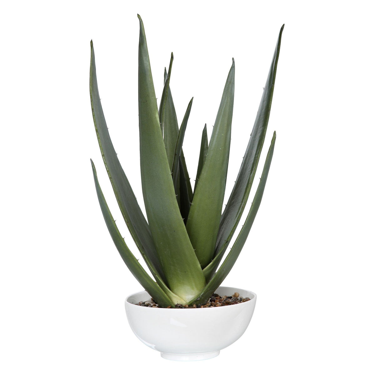 Evarado Aloe Planter Vases and Jars| Uttermost