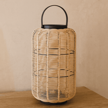 Evonne Lantern