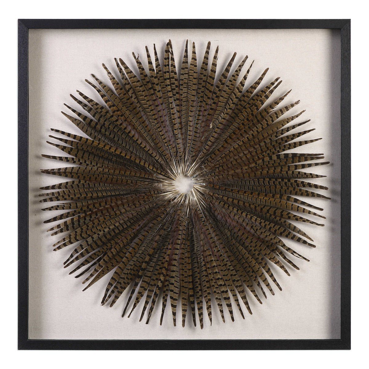 Feather Burst Shadow Box Paintings & Pictures| Uttermost
