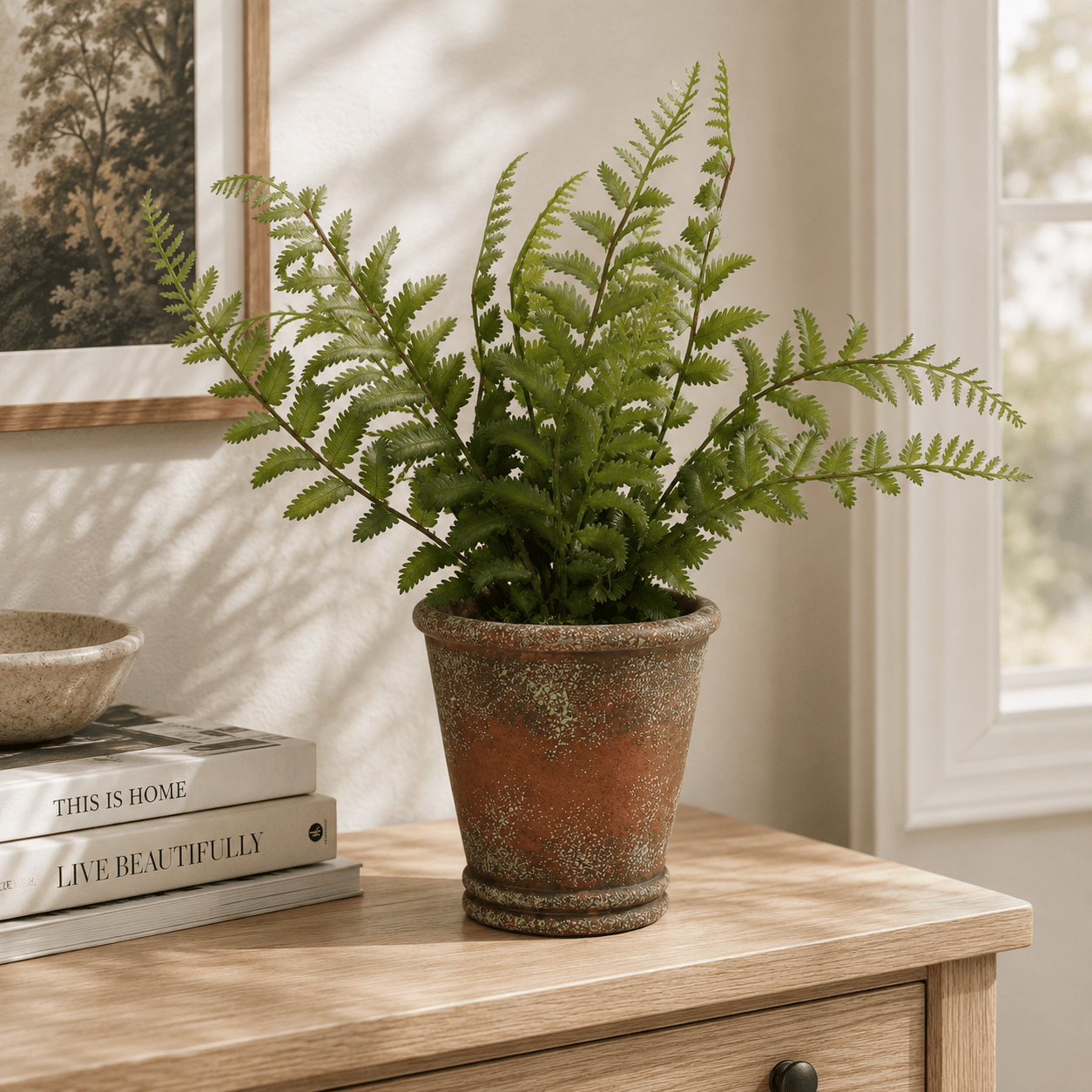 Fern 38CM Plants| Roots Furniture