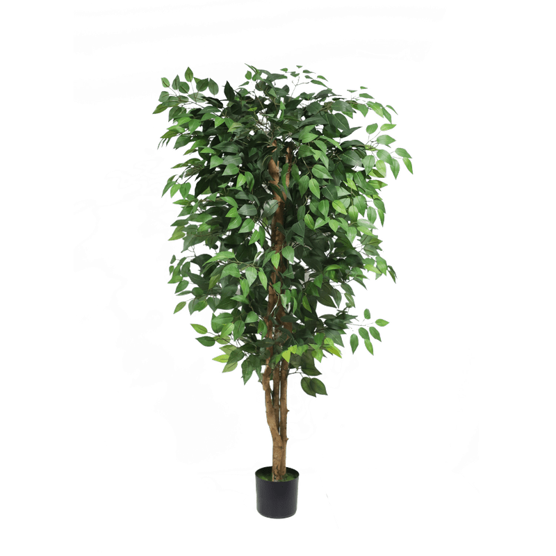 Ficus tree - 150cm - Al Rugaib Furniture