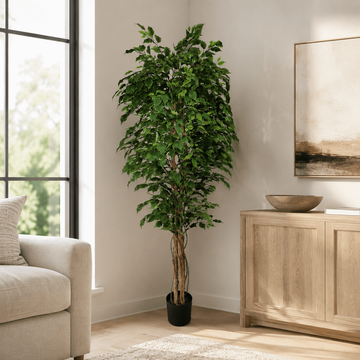 Ficus tree - 210cm Plants| Roots Furniture
