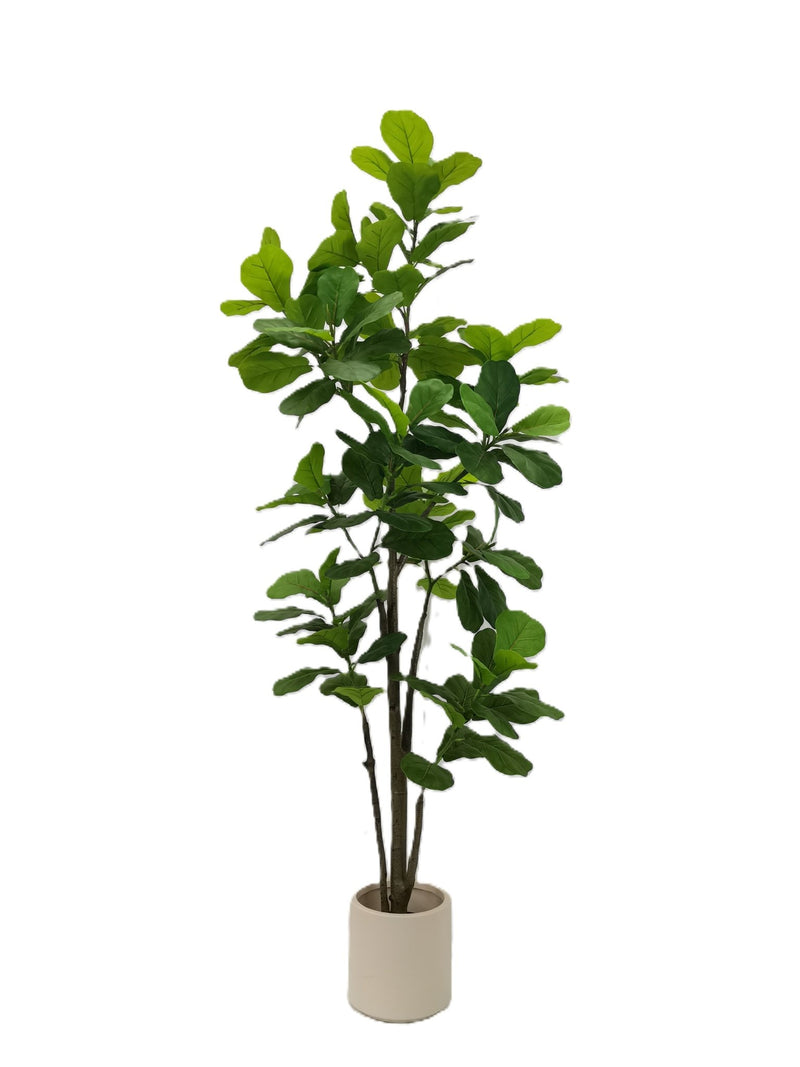 Fiddle leaf tree - Al Rugaib Furniture