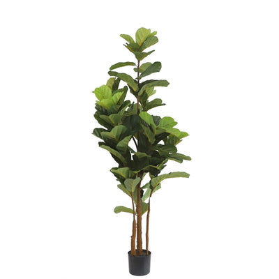 Fiddle leaf tree - Al Rugaib Furniture