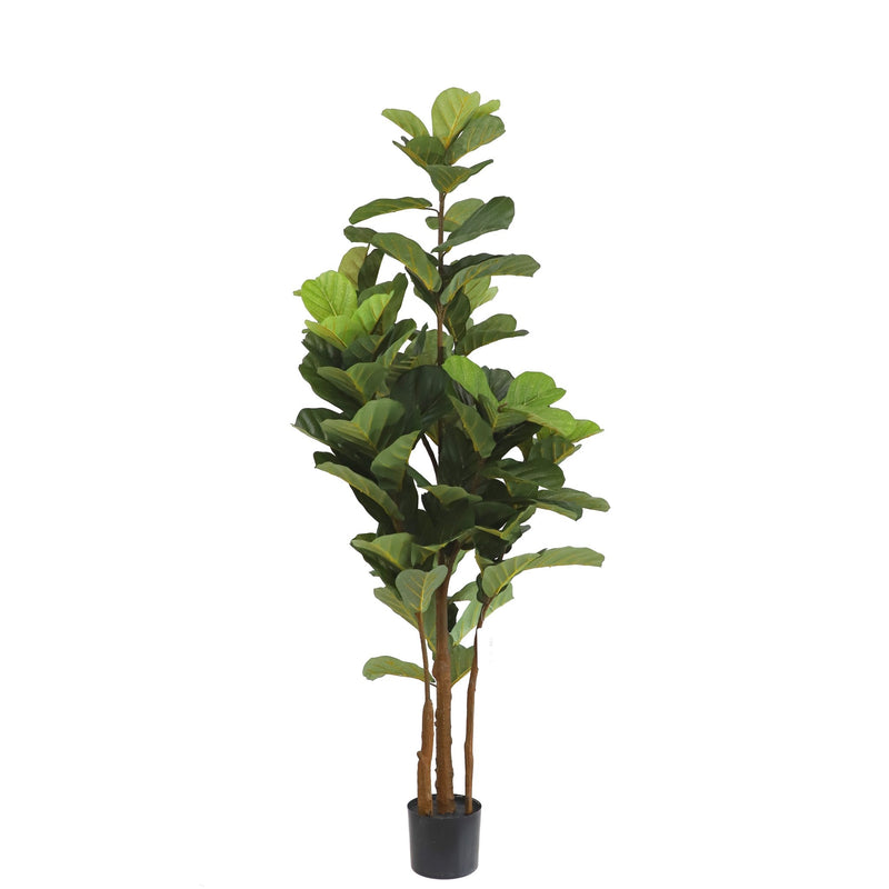 Fiddle leaf tree - Al Rugaib Furniture