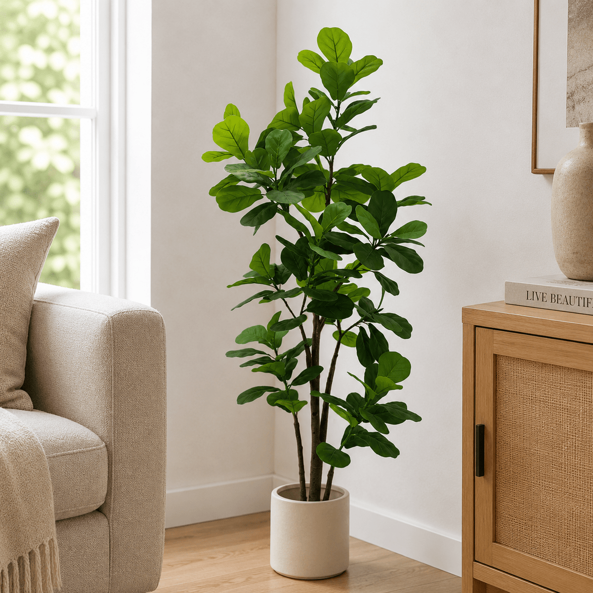 Fiddle leaf tree Plants| Roots Furniture