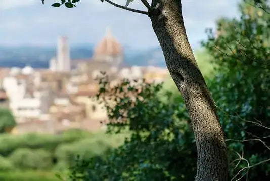 Giglio di Firenze Diffuser - 250 ml