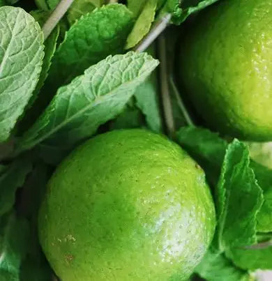 Ginger Lime - Al Rugaib Furniture