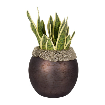 GLASS,OVAL HURRICANE,CHARRED COAL/GOLD - Al Rugaib Furniture