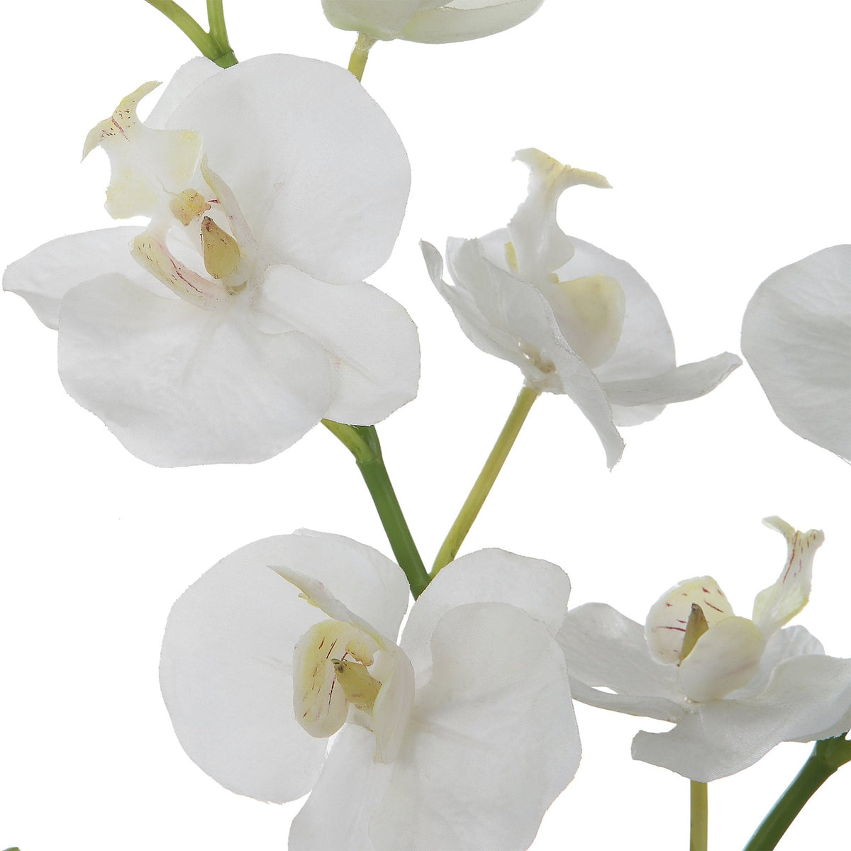 Glory Orchid Table Decors| Uttermost