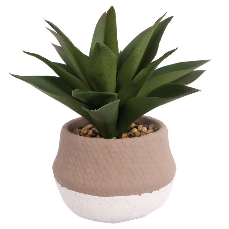 High - quality of Potted Artificial Succulent Plants 24CM Height - Al Rugaib Furniture