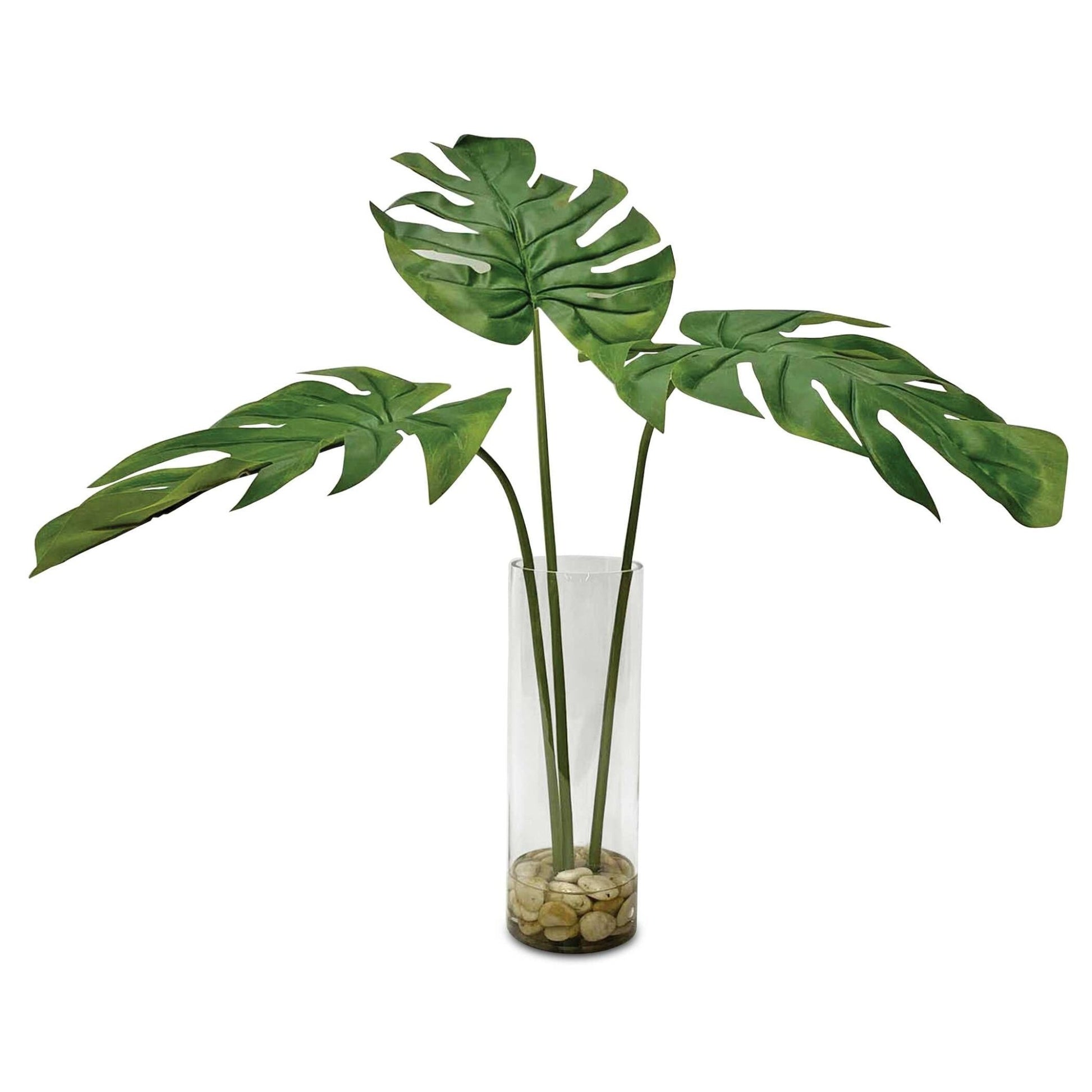 Ibero Split Leaf Palm Plants| Uttermost