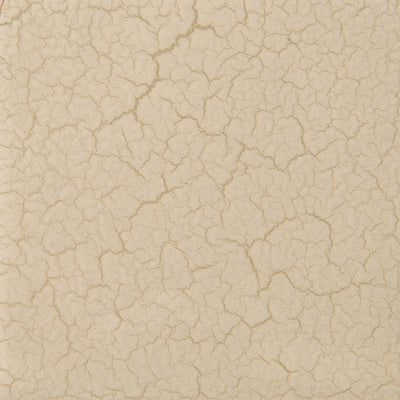 Caracole Classic - Calypso