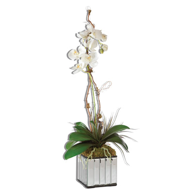 Kaleama Orchids, White - Al Rugaib Furniture