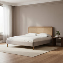 Kavali Grey Velvet King Bed