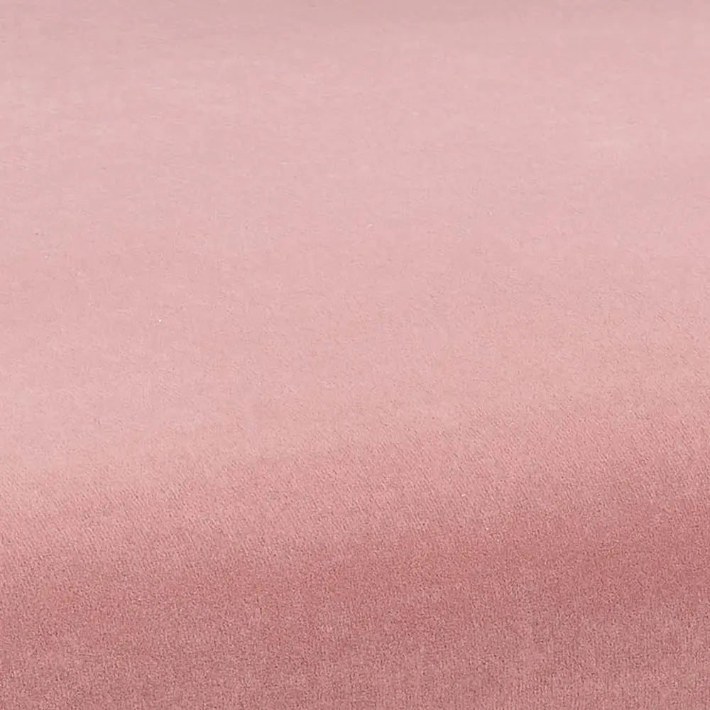 Kim Velvet Chair in Blush Chairs| TOV