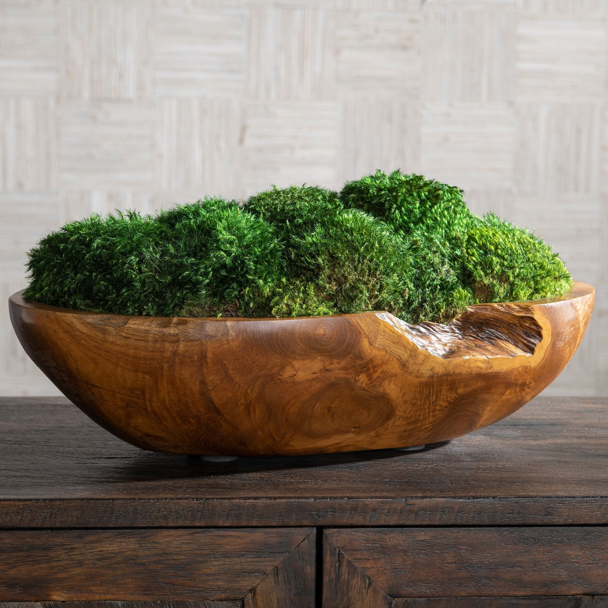 KINSALE MOSS CENTERPIECE Plants| Uttermost
