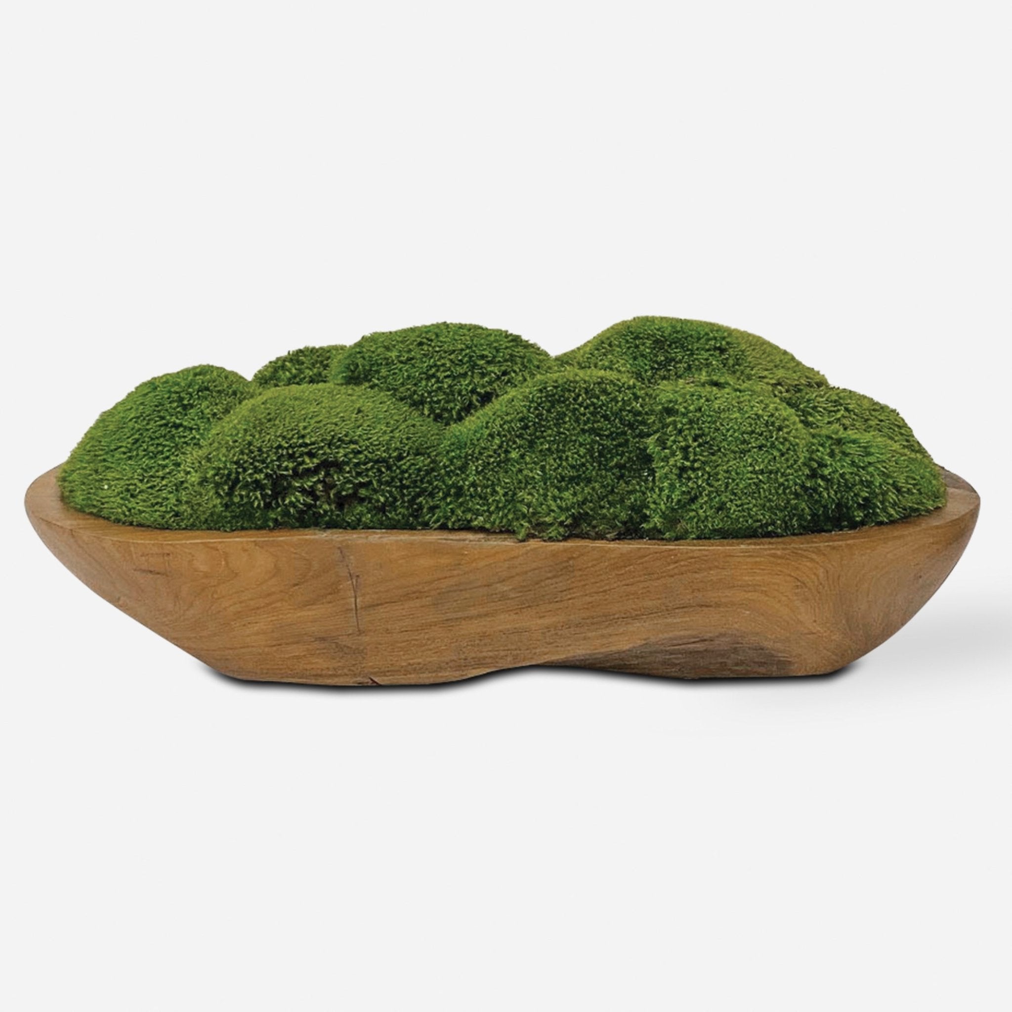 KINSALE MOSS CENTERPIECE Plants| Uttermost