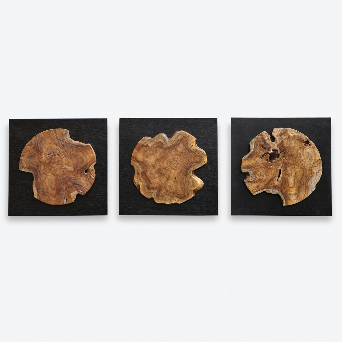 Kolini Wood Wall Decor, S/3 Wall Decors| Uttermost