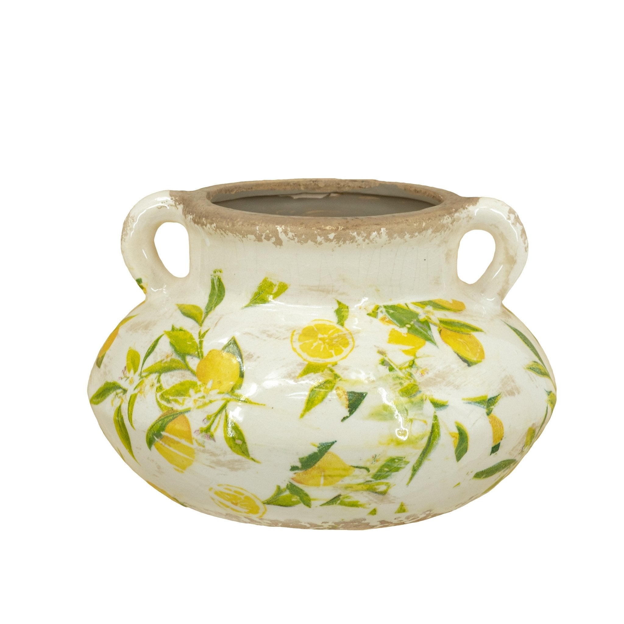 Lemon Pattern Planter With Handle Planter| Roots Furniture