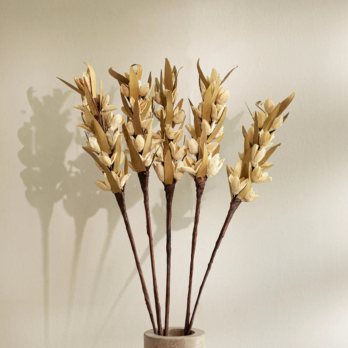 Malar bakuli stems set of 5 Plants| Roots Furniture