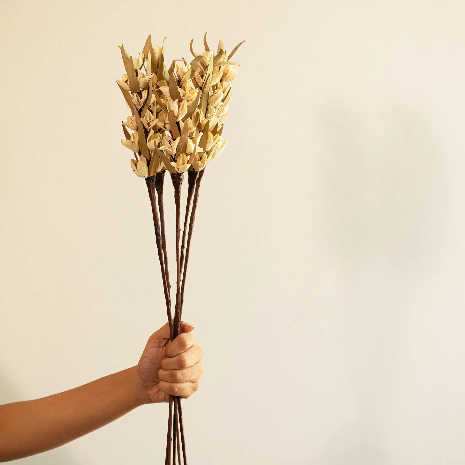 Malar bakuli stems set of 5 Plants| Roots Furniture