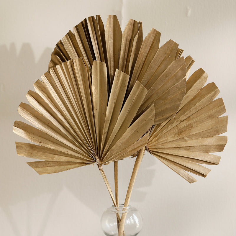 Malar gold sun palms set of 3 - Al Rugaib Furniture