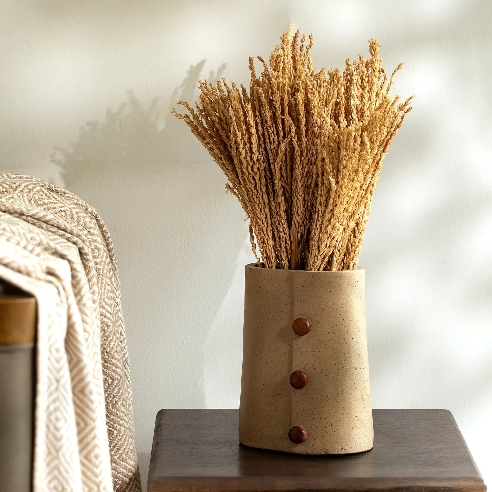 Malar maize grass bunch Plants| Roots Furniture