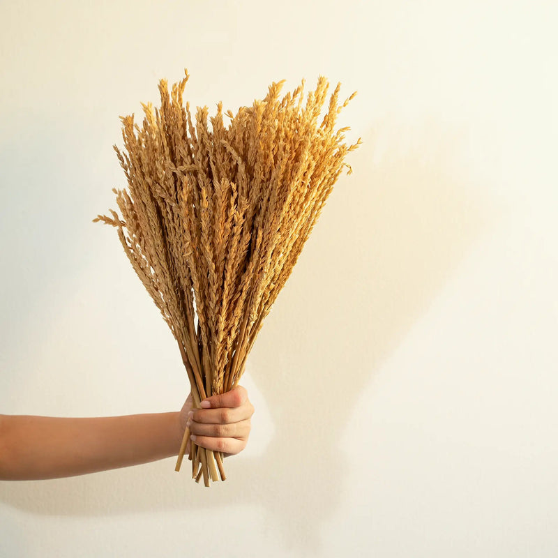 Malar maize grass bunch - Al Rugaib Furniture