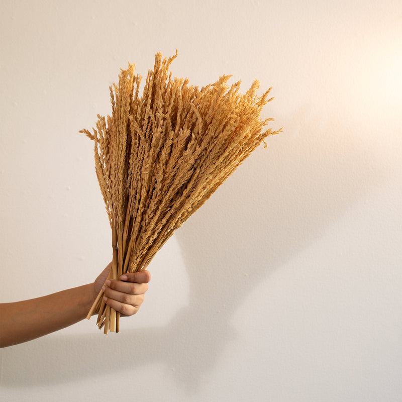 Malar maize grass bunch - Al Rugaib Furniture