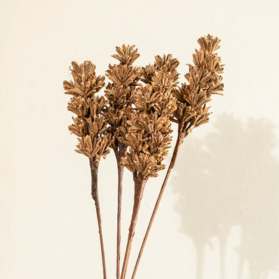 Malar sesame seed brown Set of 5 - Al Rugaib Furniture