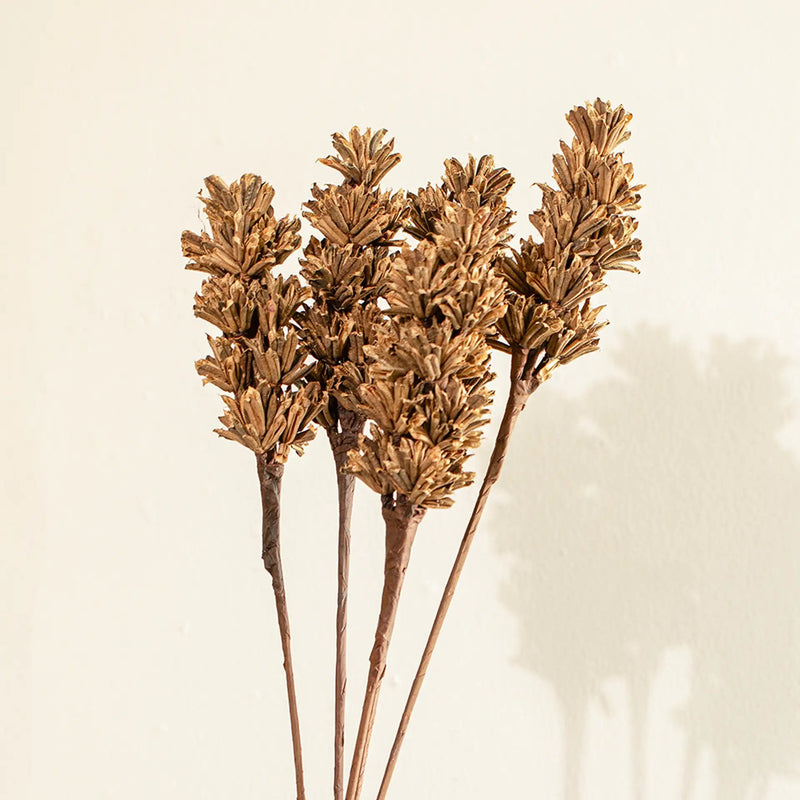 Malar sesame seed brown Set of 5 - Al Rugaib Furniture