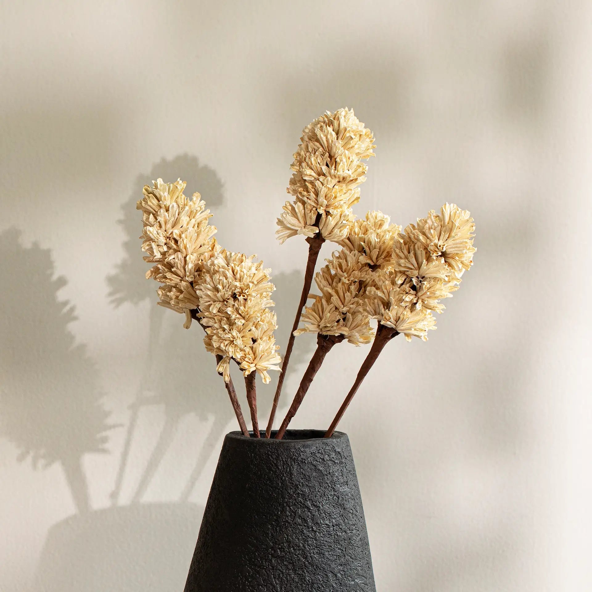 Malar sesame seed white set of 5 Plants| Roots Furniture